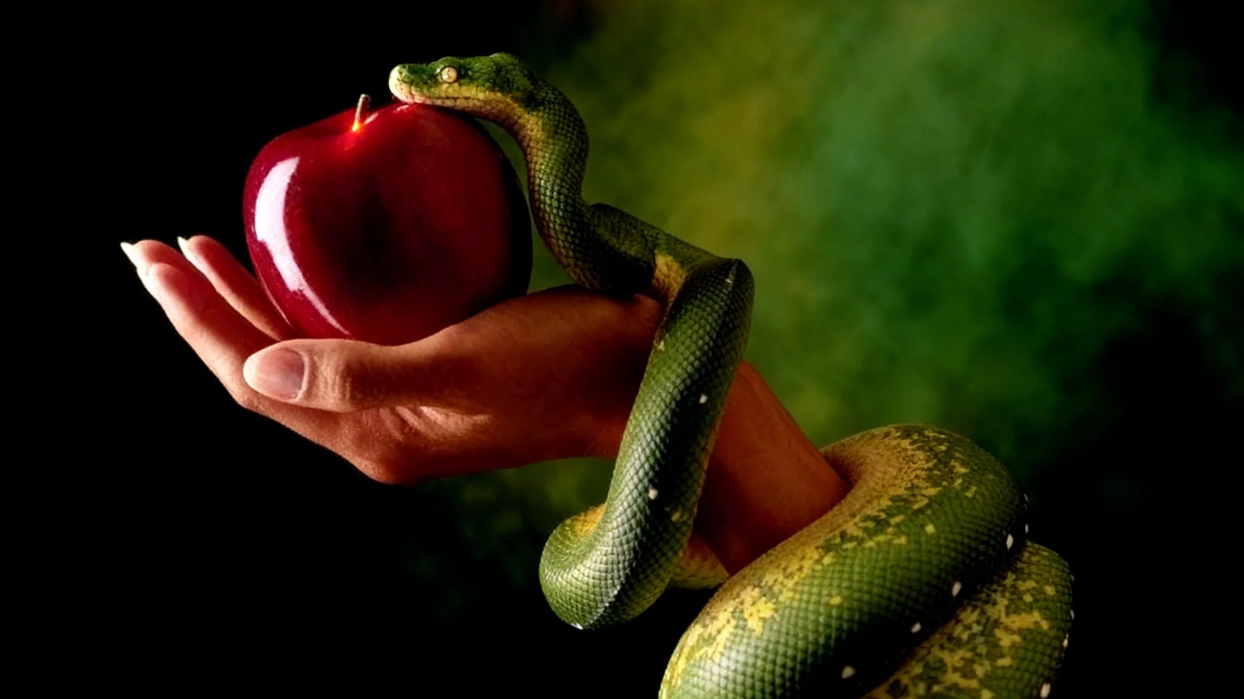 Forbidden Fruit2025-12-15T10:13:59.376Z"