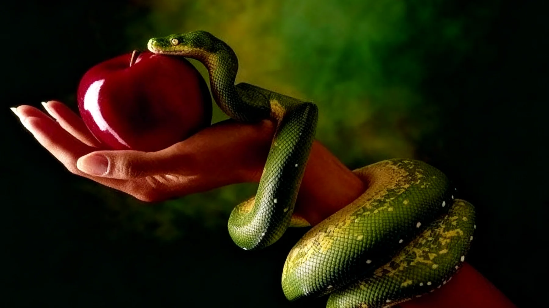 Forbidden Fruit2025-12-26T14:52:53.861Z"