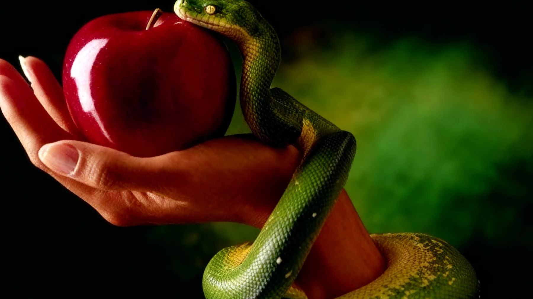 Forbidden Fruit2025-12-29T14:57:50.175Z"