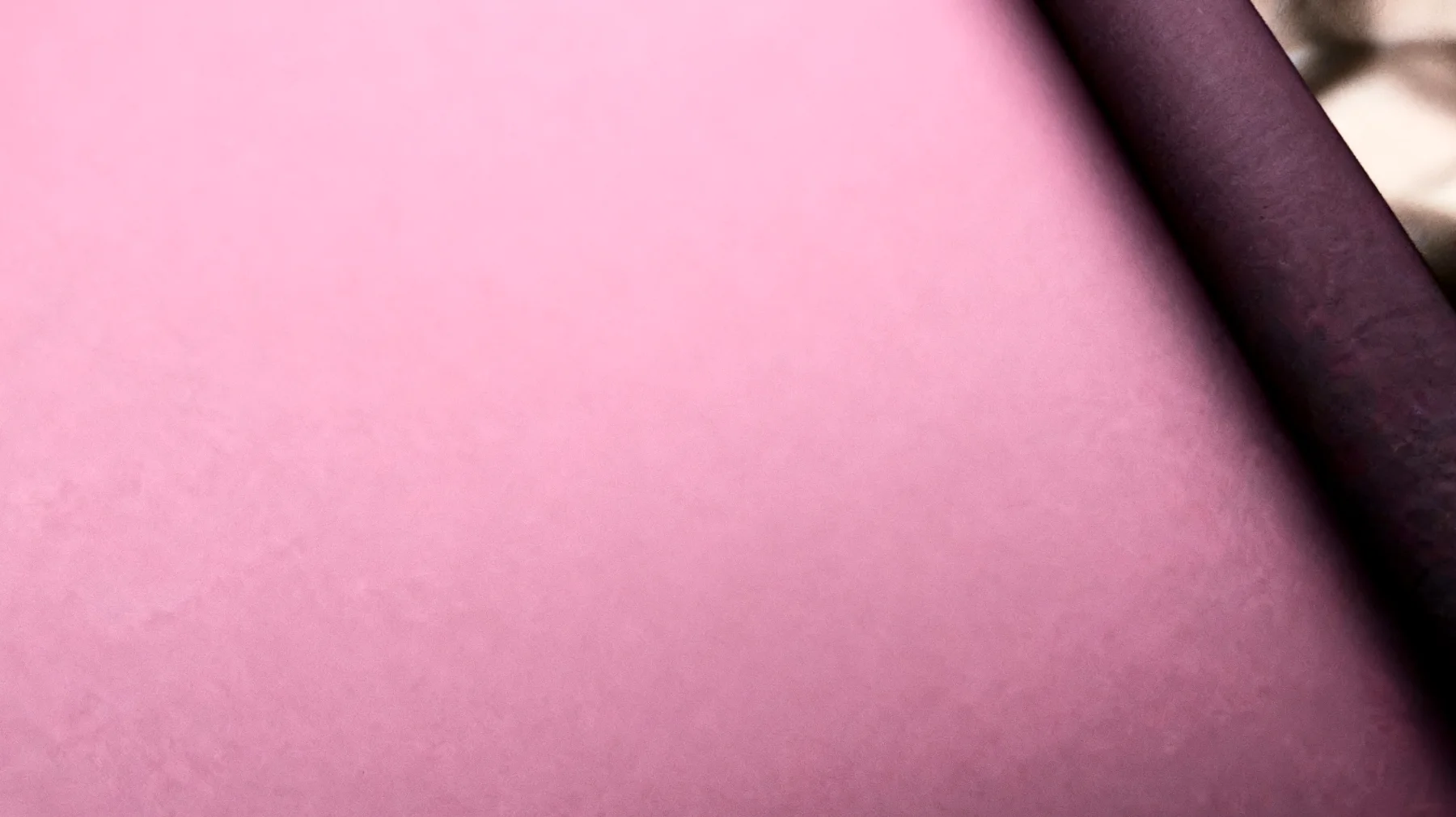 La forza di una donna2025-12-12T10:09:26.058Z"