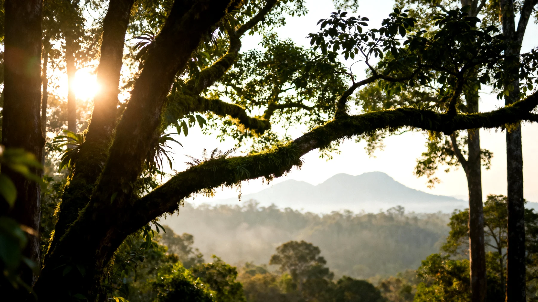 Parco Nazionale di Khao Yai"
