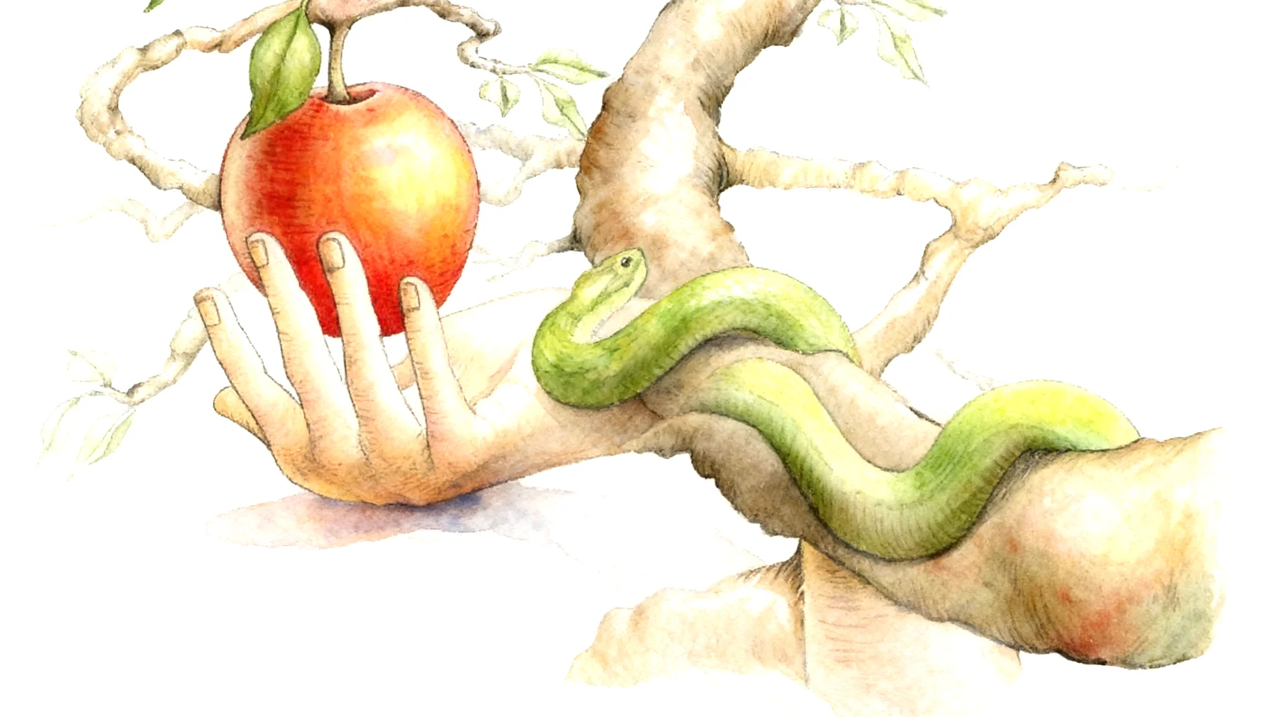 Forbidden Fruit2026-01-01T14:51:06.813Z"